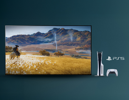 BRAVIA gaming