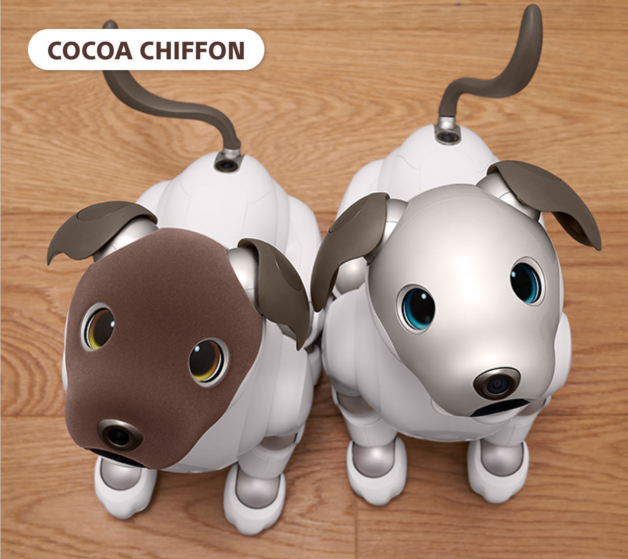 Enter for a chance to own aibo