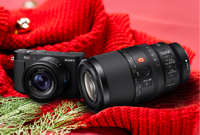 RX1R III + SEL100M28GM