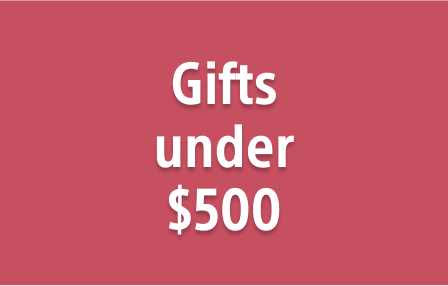Gifts under $500