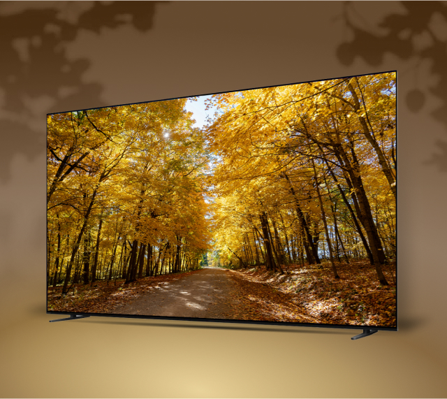 Amazing brightness. Piercing contrast.