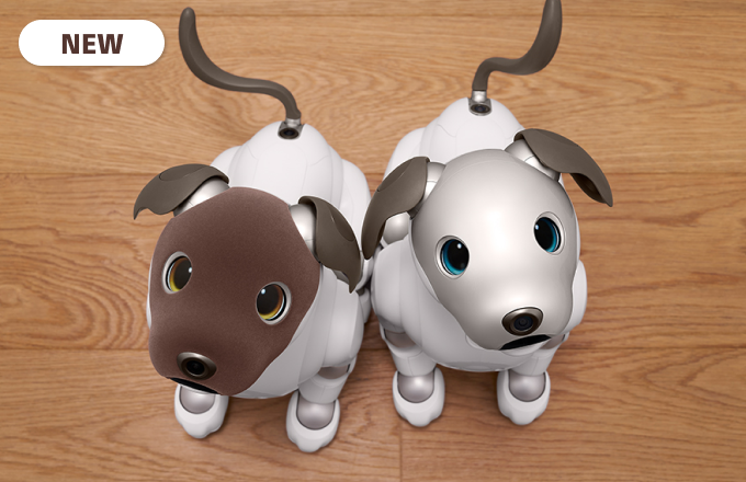 The suede-soft face of A.I. is the aibo Cocoa Chiffon Edition