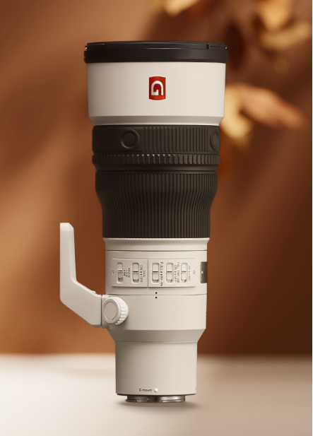 SEL600F63GM
