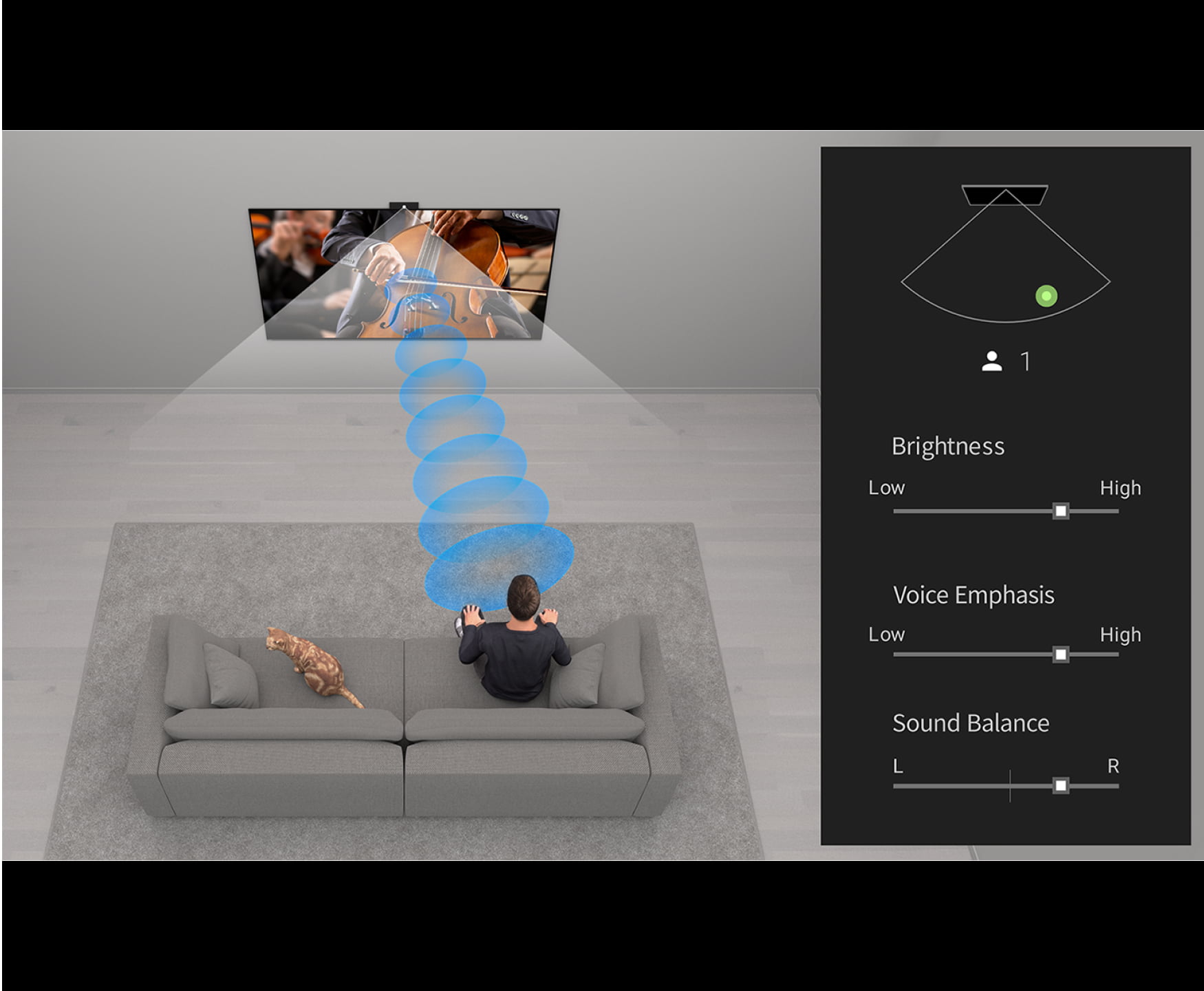 With BRAVIA CAM, Best seat. Anywhere. Anytime.