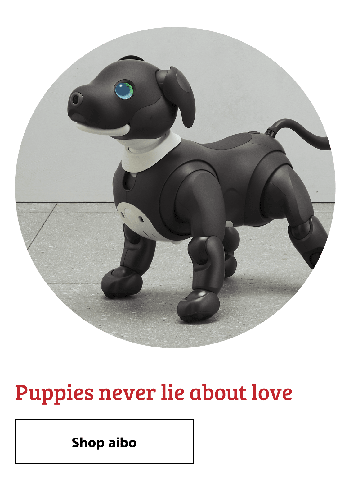 в подарок sony playstation