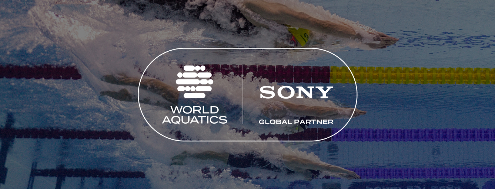 World Aquatics