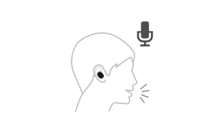 Built-in voice control