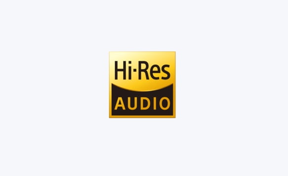 <p>Enjoy High-Resolution Audio without wires</p>