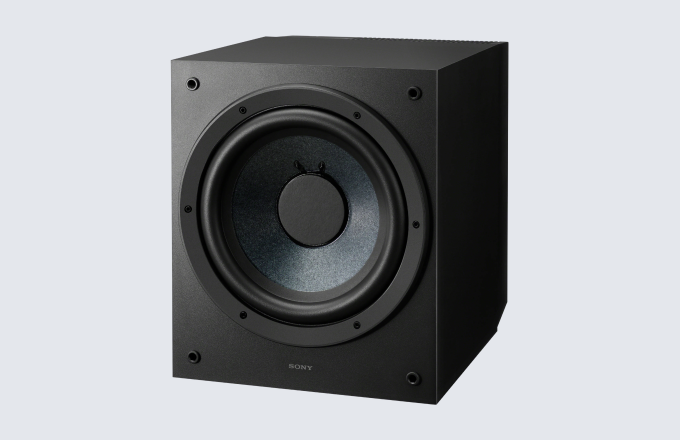 10 inch Woofer