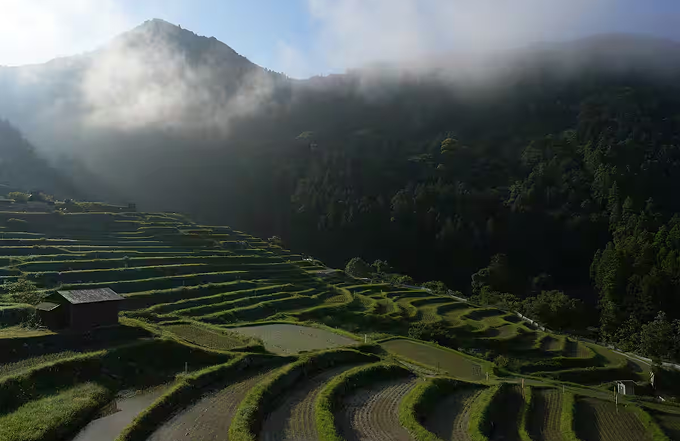 For the roughest places