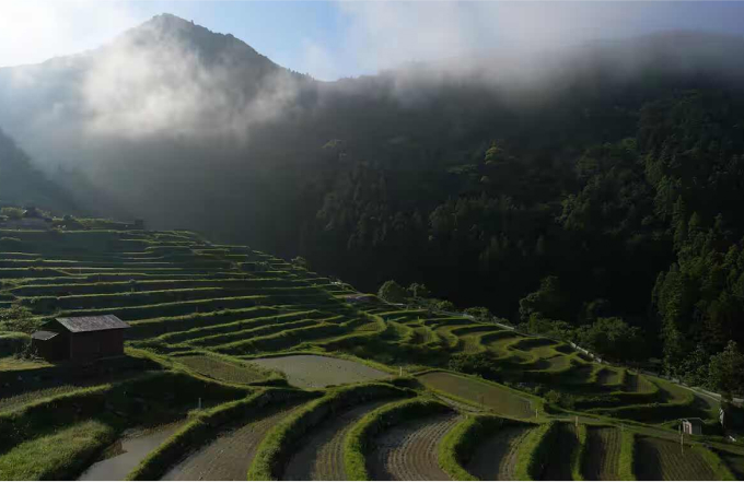 For the roughest places