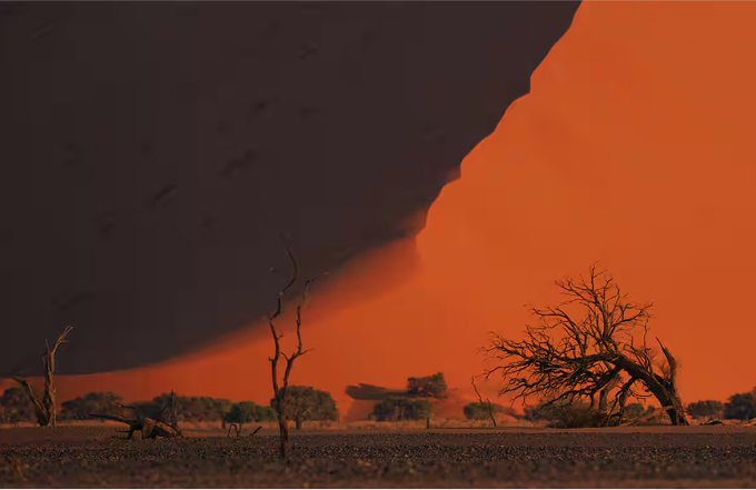 For the toughest conditions