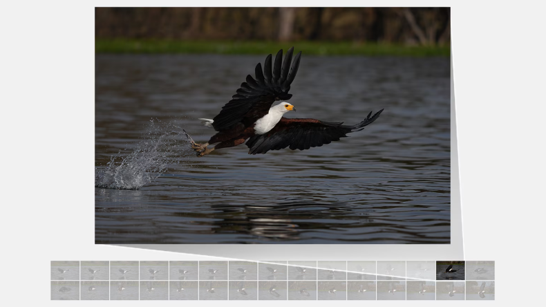 Sony Alpha 7R VI: Full-frame Mirrorless Interchangeable Lens