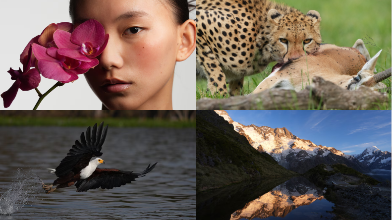 α7R VI Photo Gallery