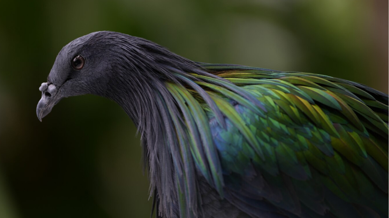 Outstanding G-MasterTM resolution and bokeh from 100 to 400 mm
