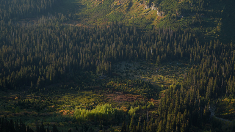 Refined optics for lifelike rendering