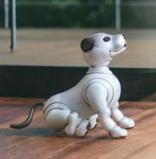 ソニーaibo Sony aibo Espresso debuts as new limited edition of AI