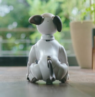 ソニーaibo Sony Aibo is reportedly returning with Amazon Echo-like