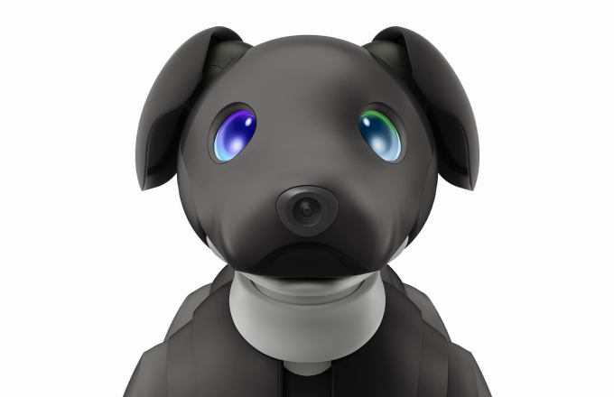  aibo Espresso Edition