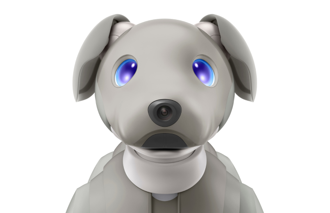 Sony aibo PUPs, collect the face of aibo | ERLAPH