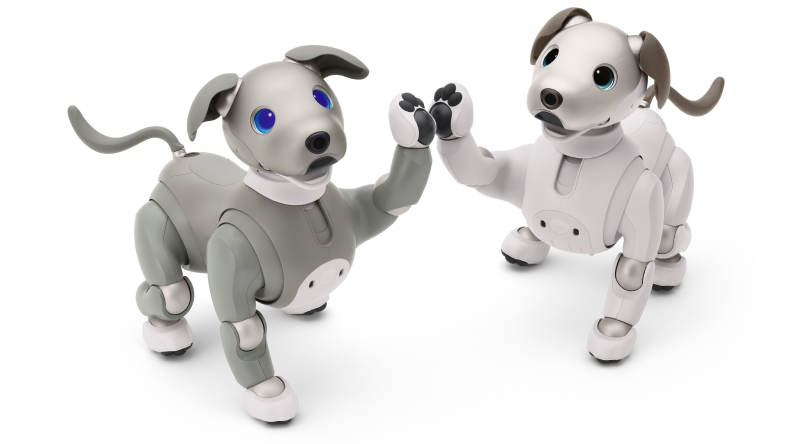 Your A.I. companion pup on the go