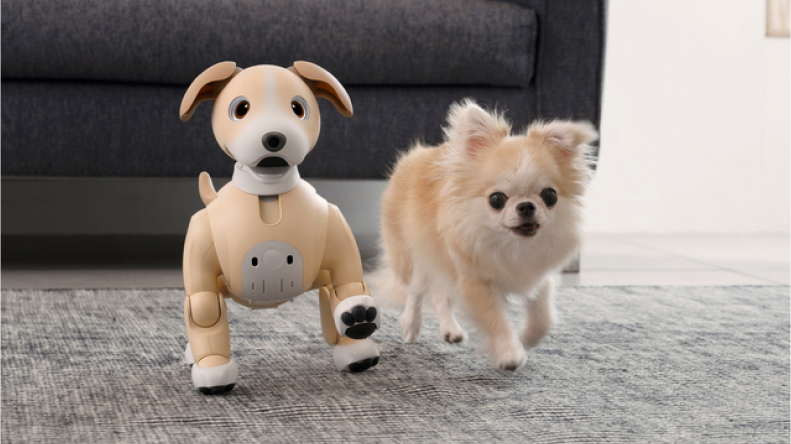 Your A.I. companion pup on the go