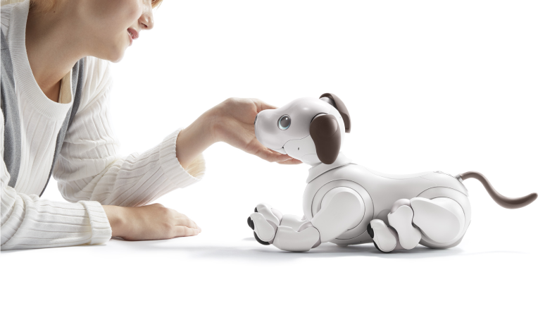Your A.I. companion pup on the go