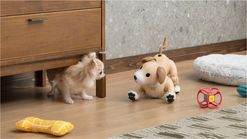 Visit our aibo Community