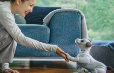 Sony aibo Kinako Edition | ERS-1000C