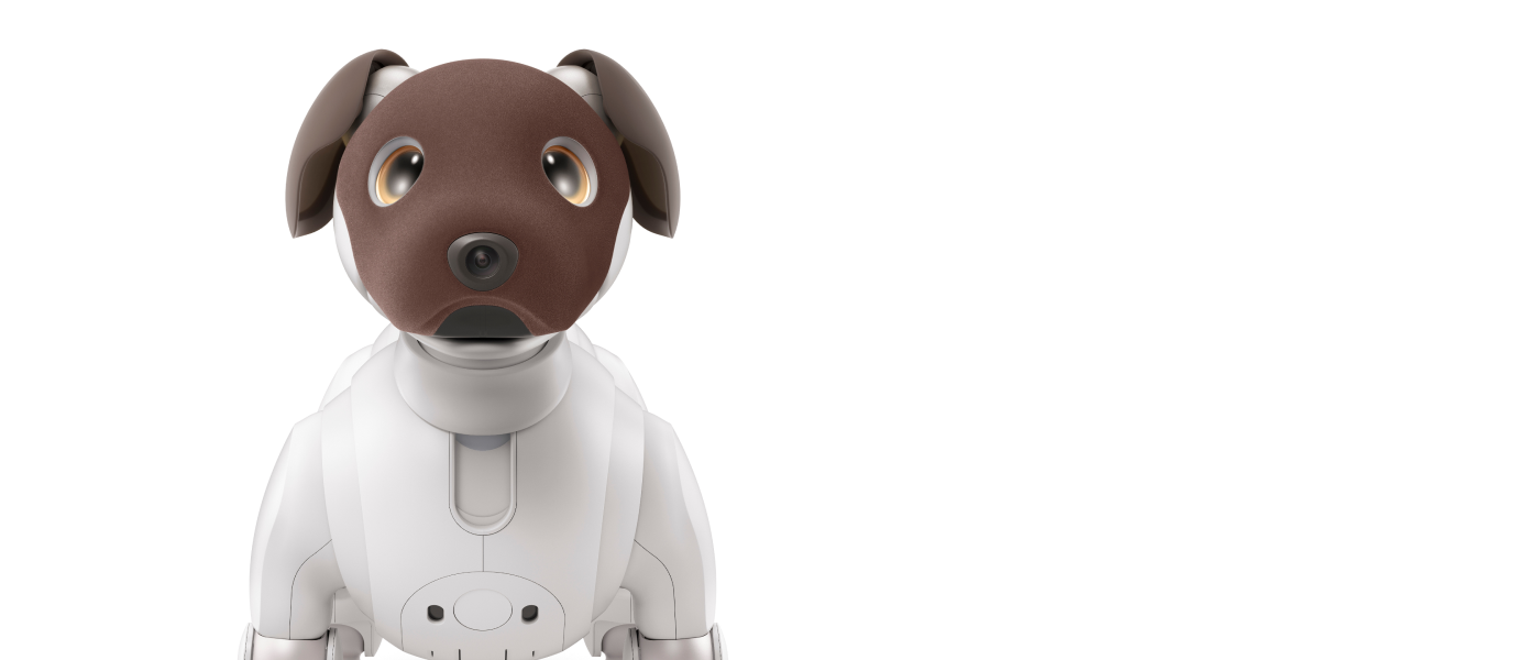 Meet aibo!