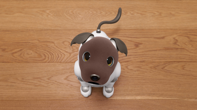 Want to learn all the benefits of what life with aibo is like?