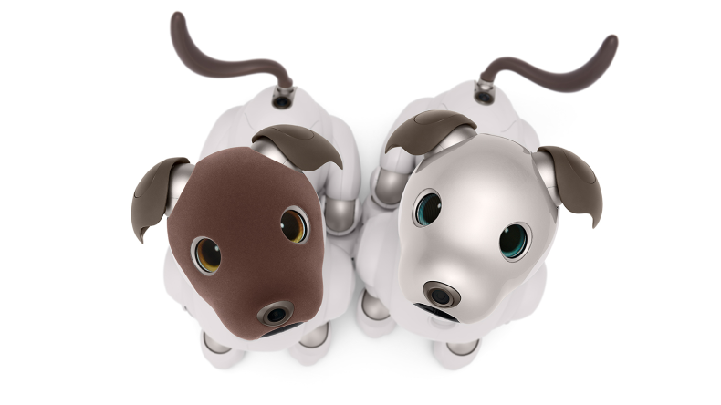 Visit our aibo Community