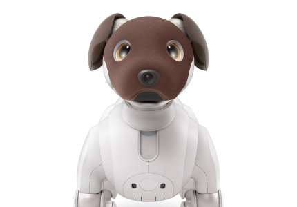 Meet aibo!