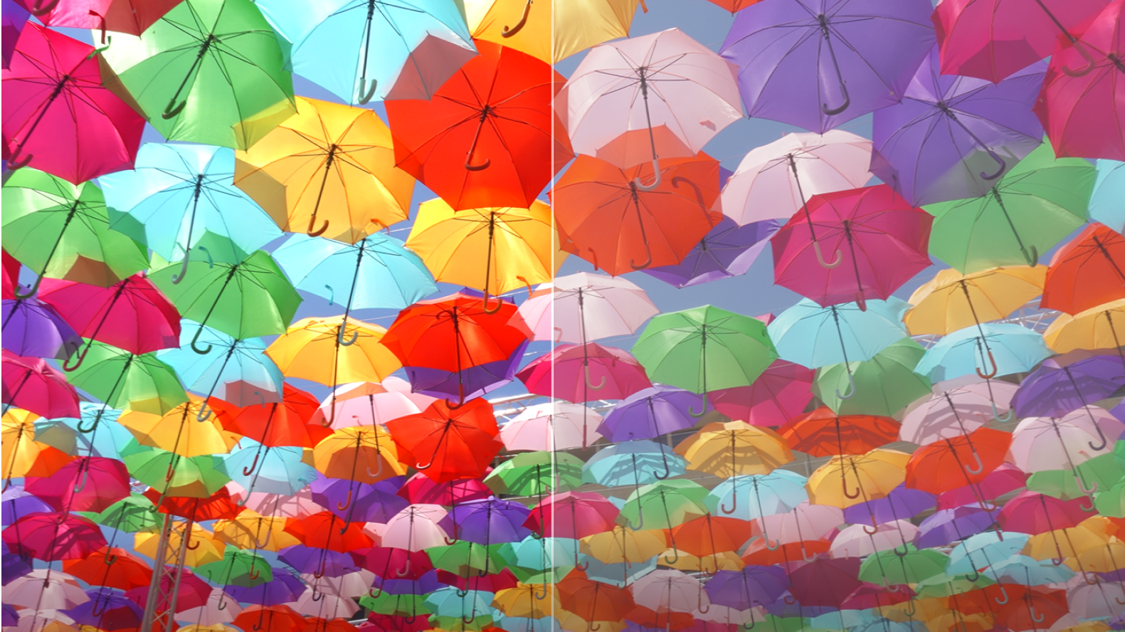 Image of colorful umbrellas.