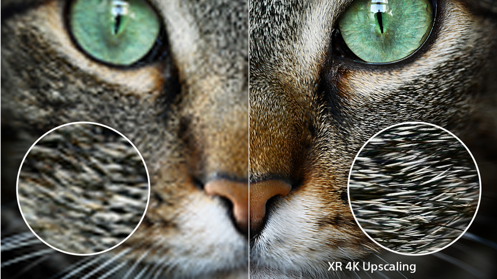 Image showing improved texture visibility with XR 4K Upscaling.