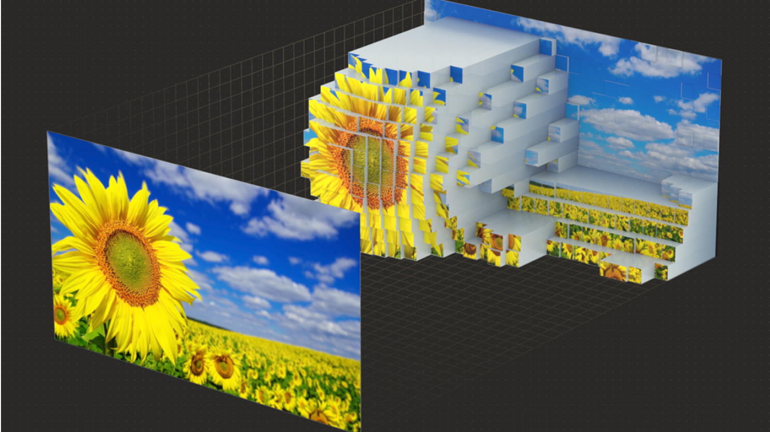 Image showing how a flower in the foreground of a picture is given more depth.