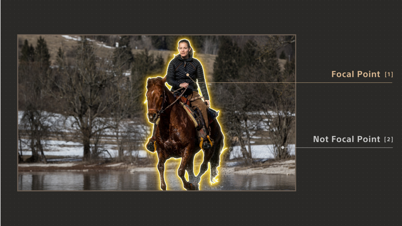 Image of a woman on a horse, showing how she is the focal point and the background is not the focal point.