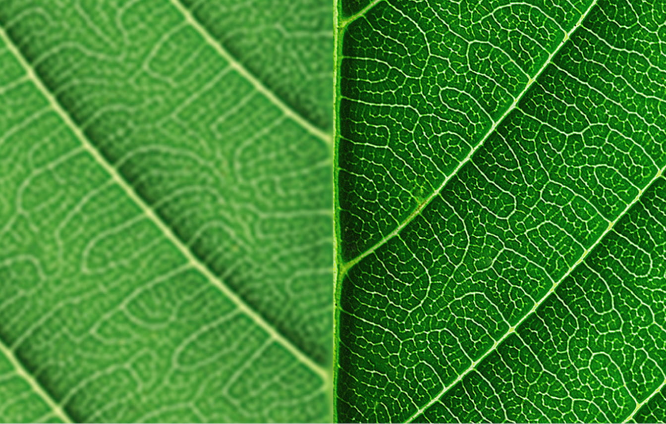 Best clarity for individual objects