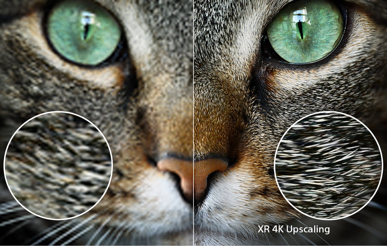 Everything upscaled to 4K quality