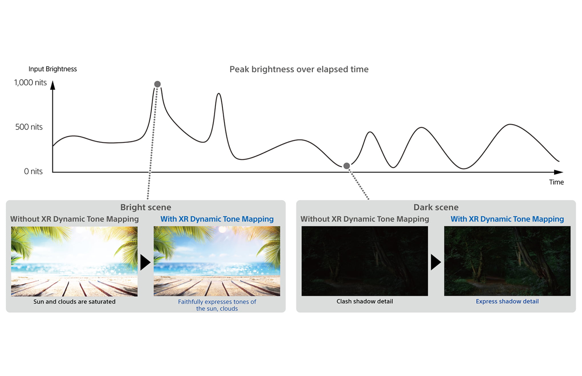 XR Dynamic Tone Mapping
