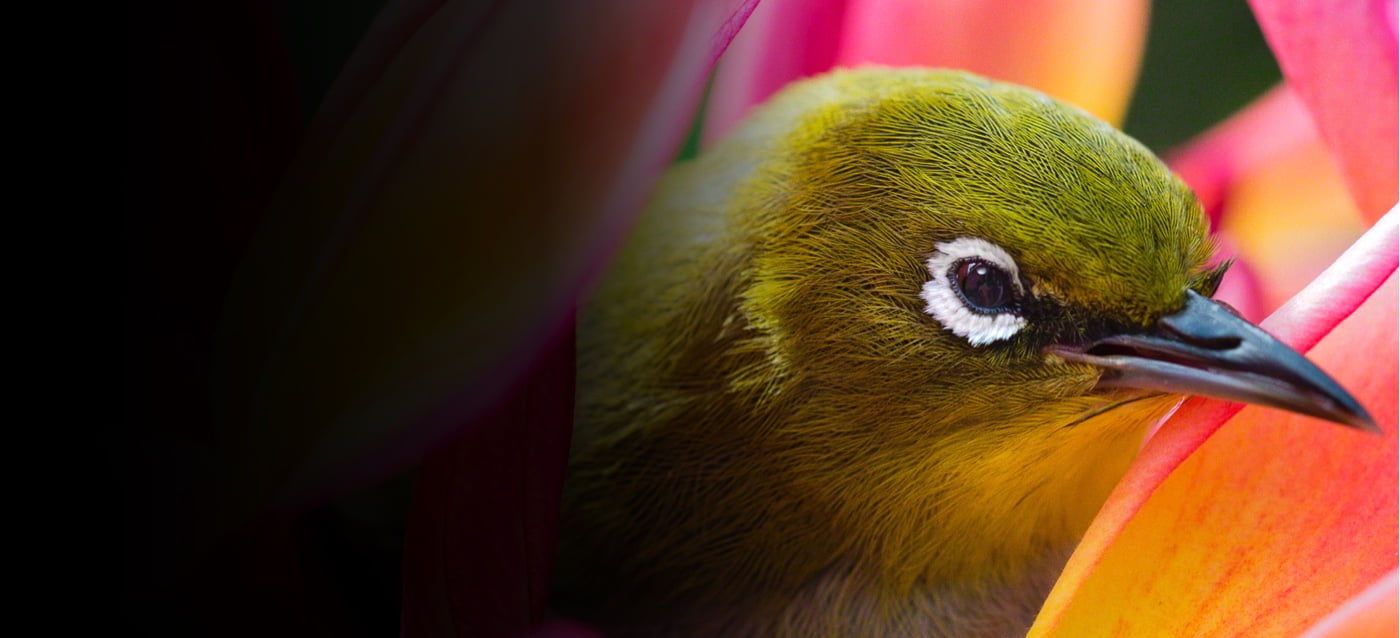 ''